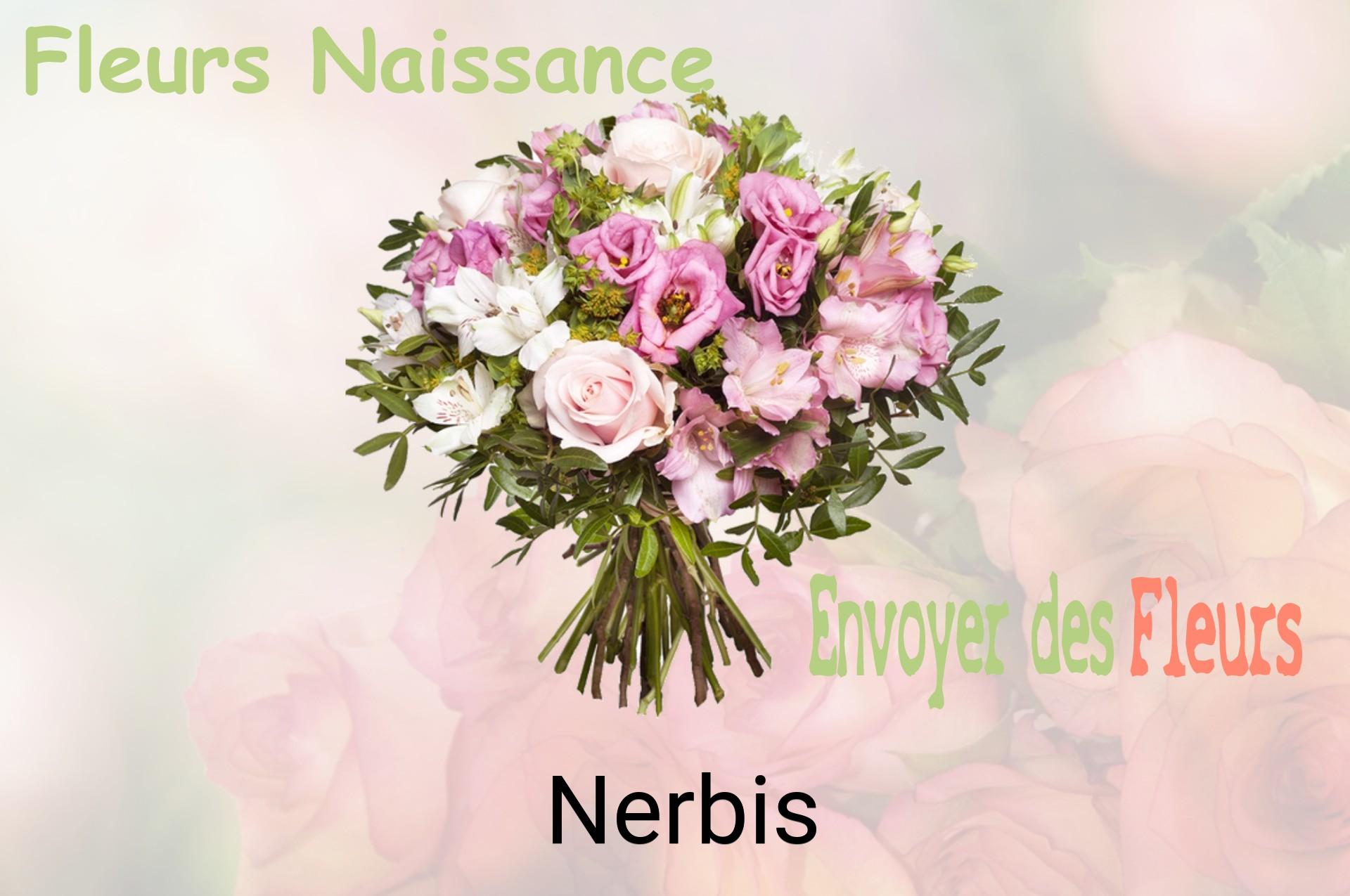 Bouquet de fleurs de naissance livré à Nerbis
