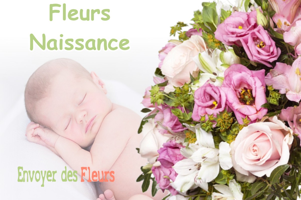 lIVRAISON FLEURS NAISSANCE à NERBIS